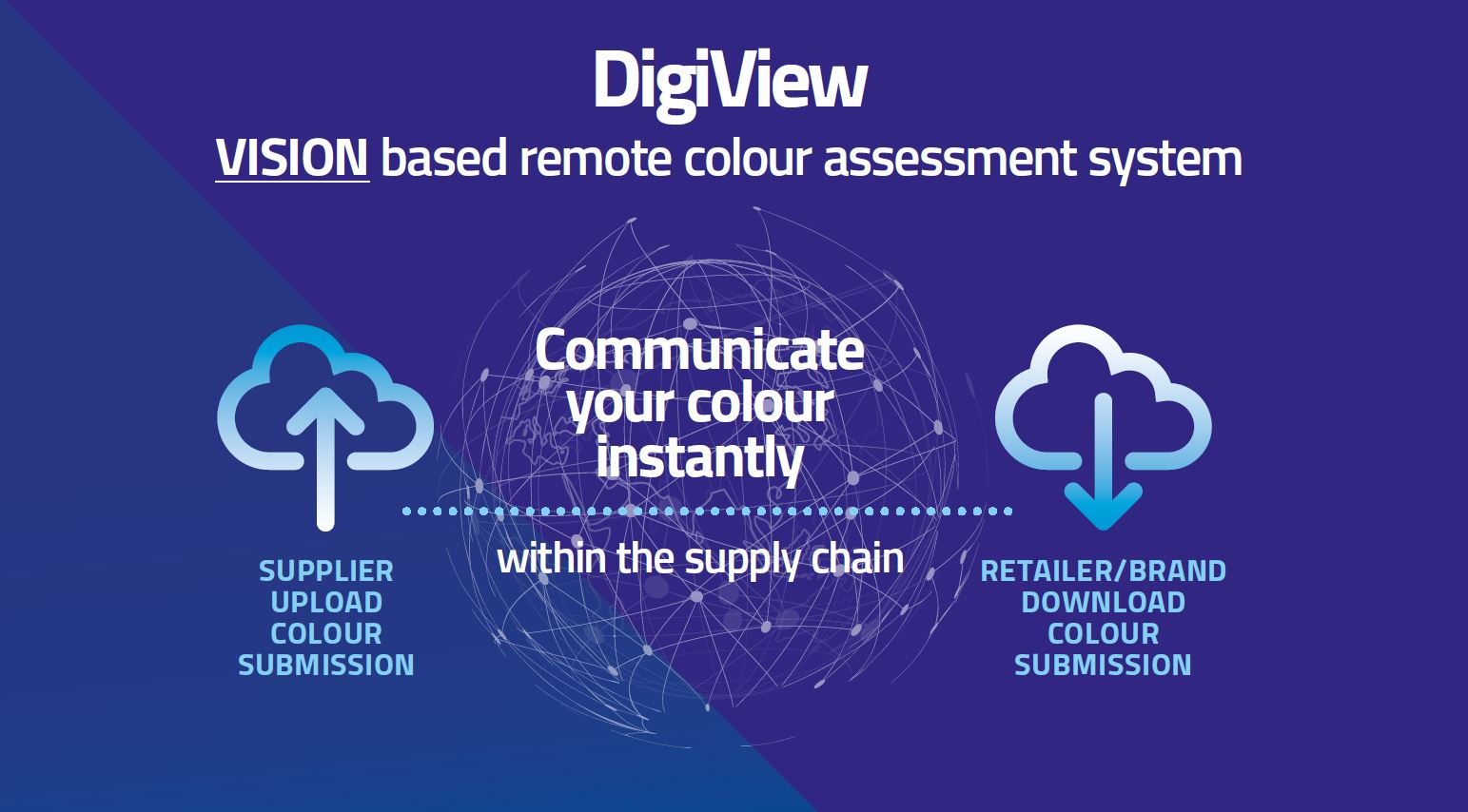 DigiView Infographic