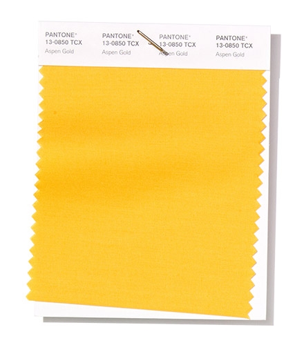 Featured image of post Pantone Cyber Yellow