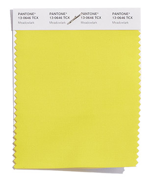 meadowlark pantone