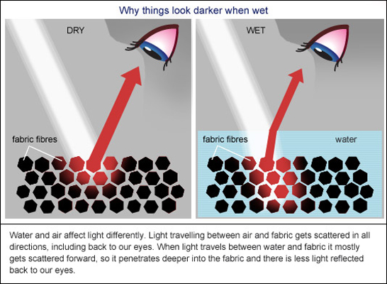 why does fabric darken when wet