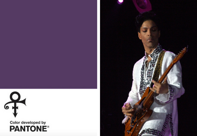 prince's purple pantone standard