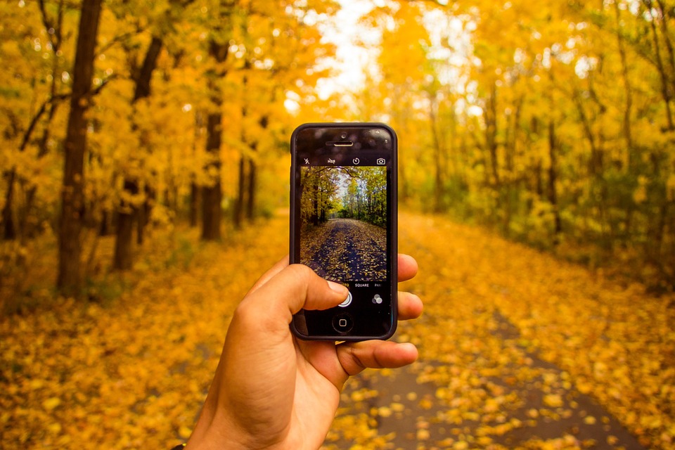 someone taking a photo for inspiration