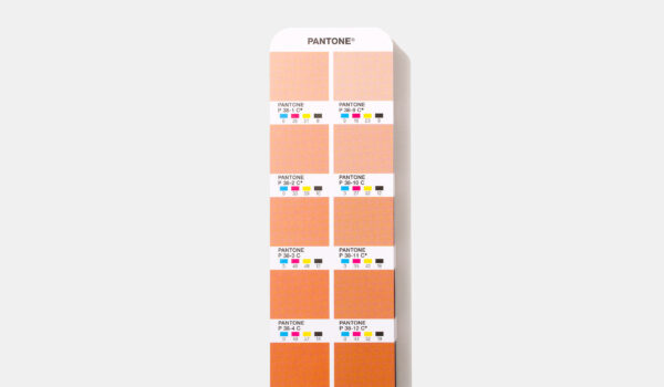 Pantone CMYK Guide page close up