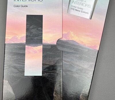 Pantone Color Guide Dualities Supplement boxed