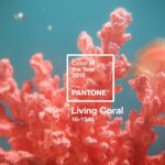 living coral colour