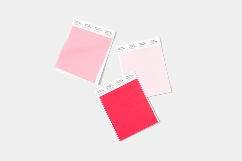 Pantone Cotton Swatch Card