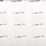 Optic White Color passport
