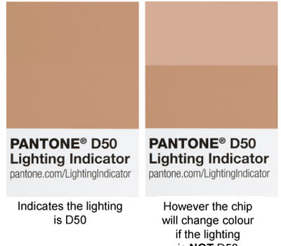 Pantone D65 Colour Chip brown