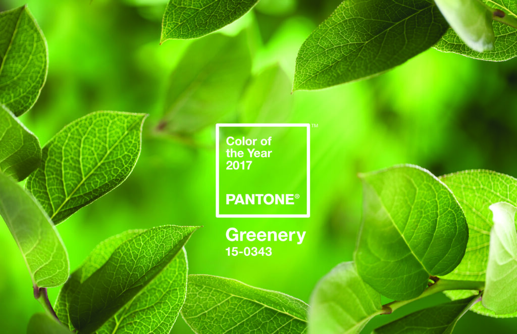 Pantone’s Colour of the Year 2017 has been announced…