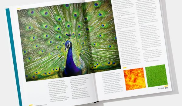 peacock colour