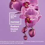 radiant orchid COY
