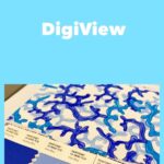 DigiView software