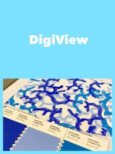 DigiView software