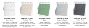 NYFW Core Colour trend