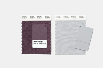 plum and grey pantone colour swatches and plastic chips