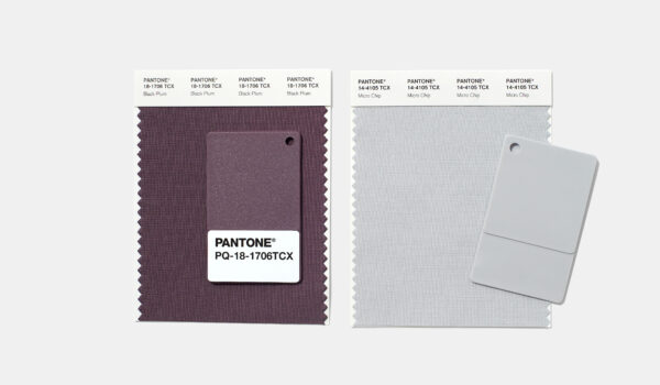 plum and grey pantone colour swatches and plastic chips