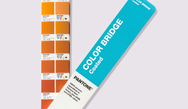 Pantone GG6103C Color Bridge Coated open