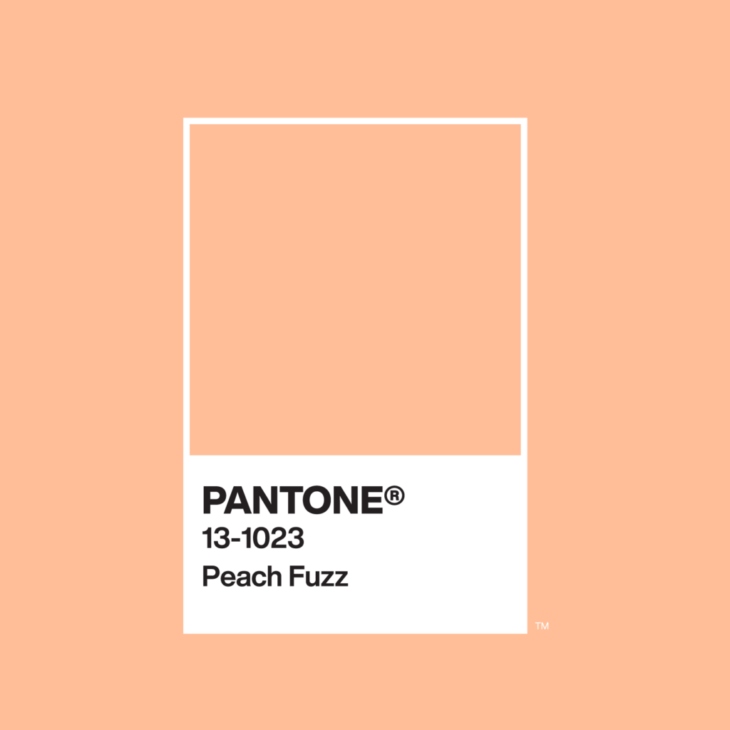 Pantone Color of the Year chip - Peach Fuzz
