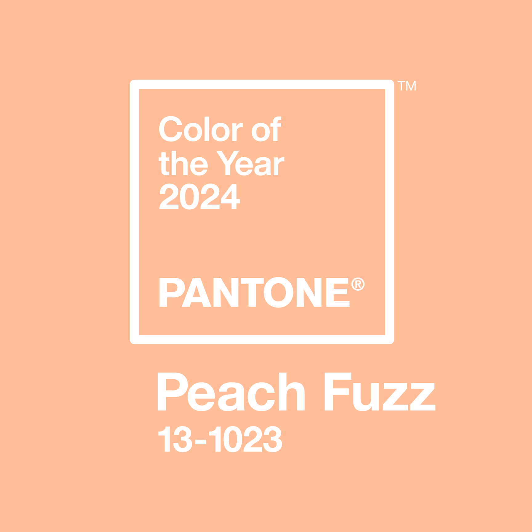 Pantone Color of the Year - Peach Fuzz, a pale orange colour.