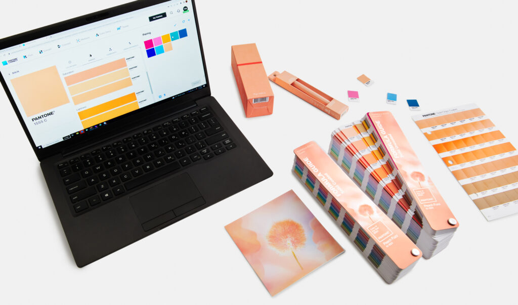 Pantone Color of the Year used in multimedia and packaging. 
